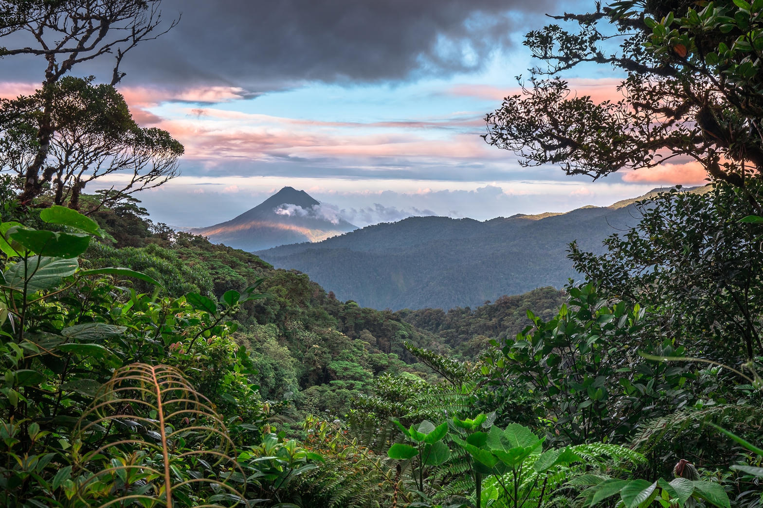 Cloud forest mountains